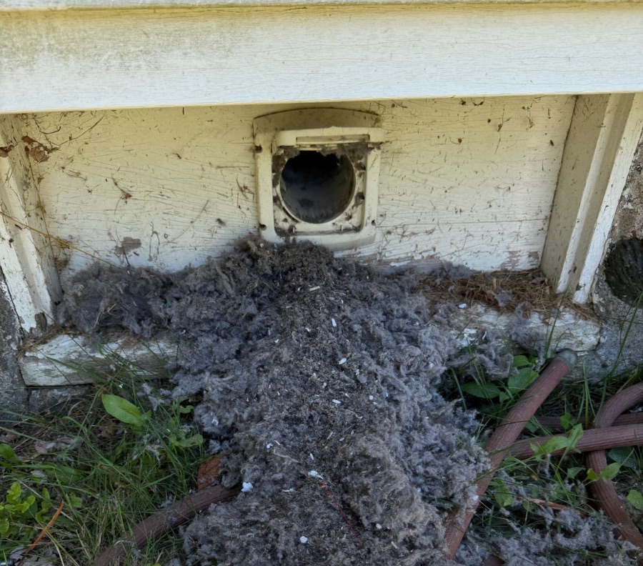Lint removal in Greenwich CT — before